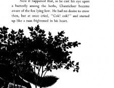 Cf 0018 sqs. , 