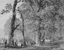 Koekkoek Barend C Army camp Sun. Koekkoek, Barend ��������