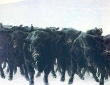 File8973. Wyeth, 