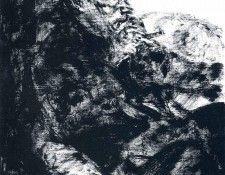 Avigdor Arikha 058. Arikha 