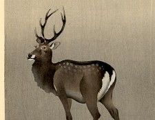 pic09375. �����