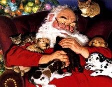 kb Newsom Tom-Winters Nap. , 