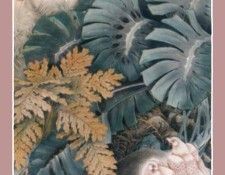 pic01467. ���, Yongjun