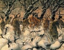 33926. Covili, �����