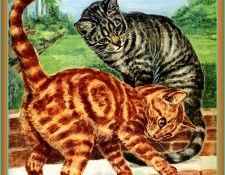 Ds-Cats Art 11 Marge Opitz Buridge. Buridge,  Opitz