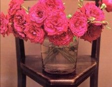 Maria Robledo - Forever Yours Rose, De. , 