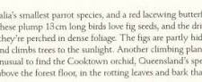 Oz AGls040 Tony Oliver 95 Double-Eyed Fig Parrot Note. , 