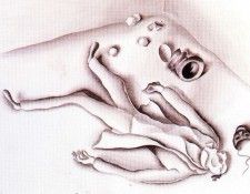 37775. �������, ������