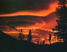 Funny 236. ����� ������ - ���� �����