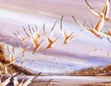 Chantal Angers - LAppel de la Nature, De. , 
