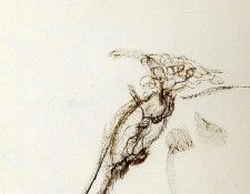 art 258. , 