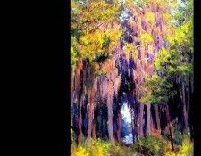 hanging-moss(john ottis adams)1914-fl art csg007. ,  Ottis