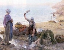 23595. ������, ����