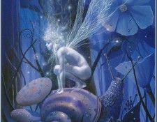 David Delamare - The Deep Wood (Abraxsis). �������, �����