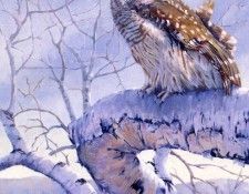 Van Rijn, Eva - Spring Thaw (end. Рейн, Ева Ван