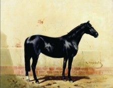 Рысак. Сверчков Николай Егорович (1817-1898)