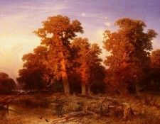 Schaeffer August Sunset In A Hungarian Forest. ������, ������