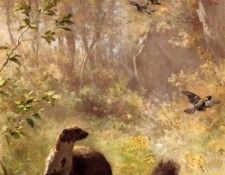 Furet, Francois - Weasel on Watch (end. ����, �������