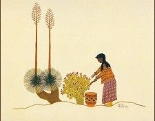 lrsDeweyWilson(Sundust)-WSCApachePicFruit. , 