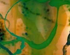 40992. Urzay, �����