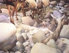 bs-ahp- Bev Doolittle- Hopkins Creek Crossing. , 