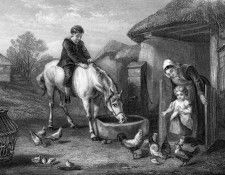 Feeding the chickens. , 