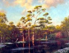 gentle breezes csg018 reedy creek. ,  