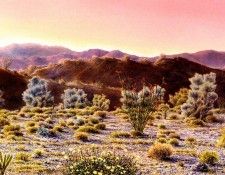 Aaw095 Joseph Salamon Desert Dawn sqs. Саламон, Иосиф
