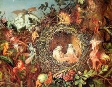 kb Fitzgerald JA-Fairies in a Nest. ,  Anster
