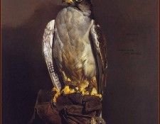 lrsHarrisChingRay-FalcononGlove. ,  