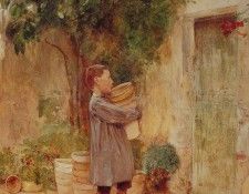 Boy with Flower Pots. ������, ������