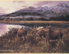 WilsonMarla-High Country Elk-WeaRSCC. , 