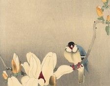 pic02225. �����