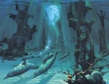 kb Pitre John Atlantis Dolphins. ����, ����