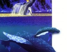 19. Schimmel, ������