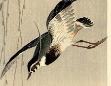 pic02154. ����, ���� �����