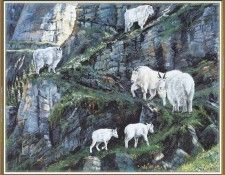 KissAndrew A Mountain Alphabet Zip We@ISC. , 