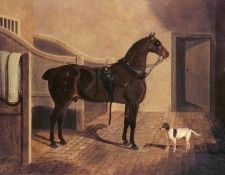 Herring Snr John Frederick A Favorite Coach Horse And Dog In A Stable. ,  