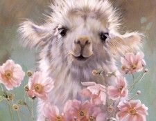 kb Noel Nancy-Cria. , 