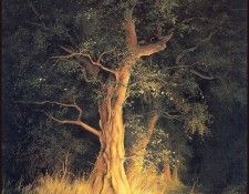 lrsMFA27SudworthAnne-InifriDuir. Sudworth, ����