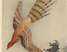 pic09399. �����