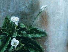 30309. �������, IC