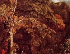 Wooded Landscape.  
