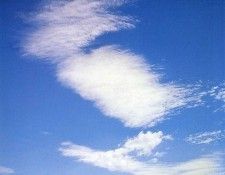 art 683. , 