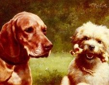 Reichert Carl The Cynic And The Philosopher. Reichert, ����