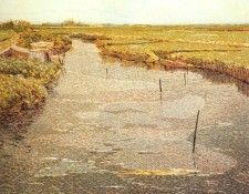 36216. ���������-���������