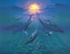 kb Pitre John Pacific Sunrise. , 