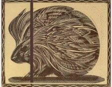 AlcornStephen-Porcupine-sj. Alcorn, 