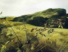 File7283. �����, �����