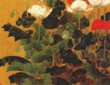 probably-kitagawa-sosetsu poppies mid-17th-c. ��������
